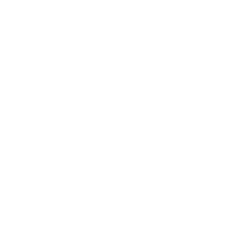 CZECH INN hotels - Praxe Ambis