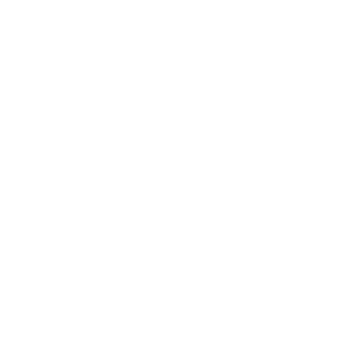 effectix - Praxe Ambis