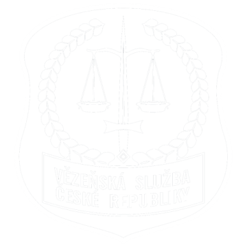 Vězeňská služba České Republiky - Praxe Ambis