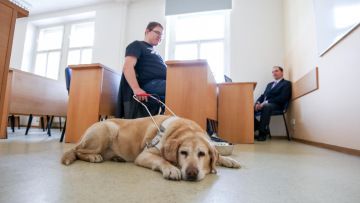 Speciální pedagogika na Ambis je pro každého koho baví práce s lidmi a chce pozitivně ovlivňovat jejich životy.